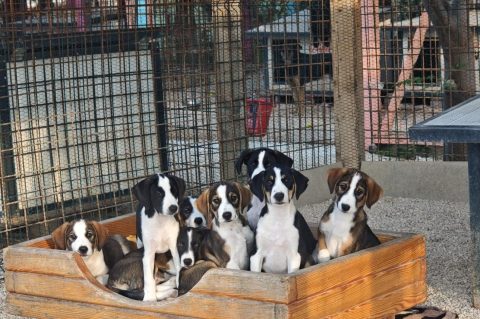 547522633_809104101647020_6155953410780576330_n