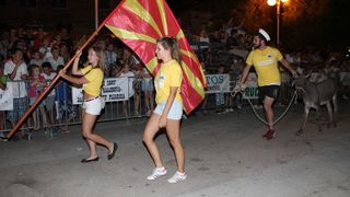 10. međunarodna trka tovarov Tisno 2015