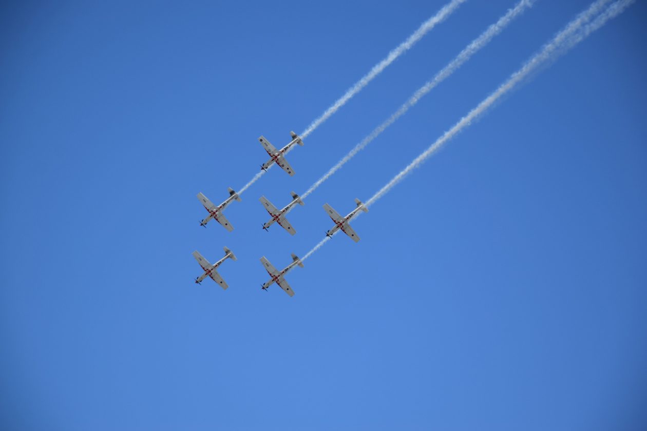 54831203628_8215df3c59_o