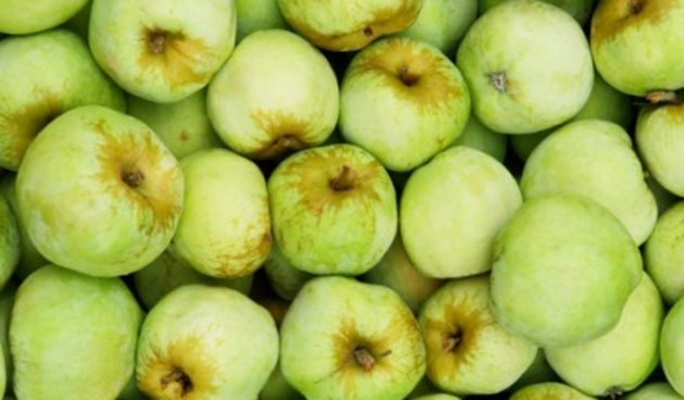 “Ekstra zdrave” jabuke kao nov odgovor na svjetske bolesti (Metro-portal.hr)