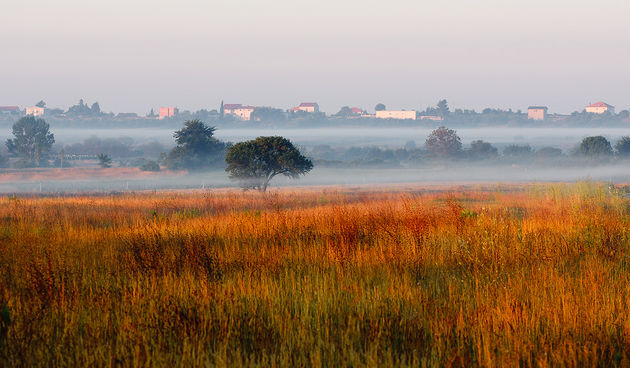 Jutarnja magla nad Ravnim kotarima, foto: Ivan Toman