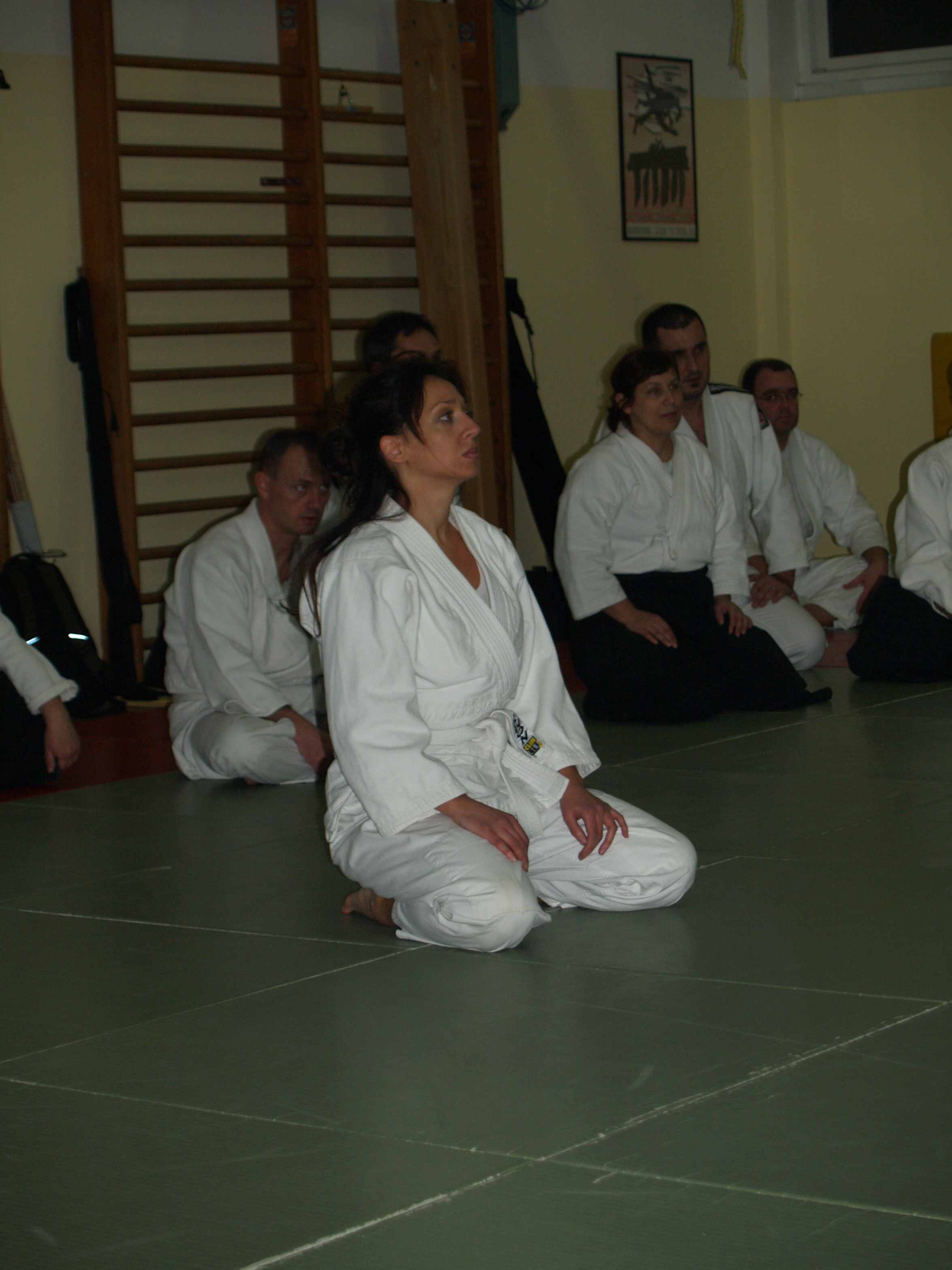 Aikido, seminar Alesa Leskovseka u AK Donat