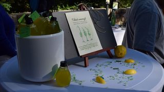 Smaragdna ljepotica Krka dobila svoj koktel – Tekući smaragd