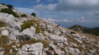 Svilaja, 18 rujna 2010