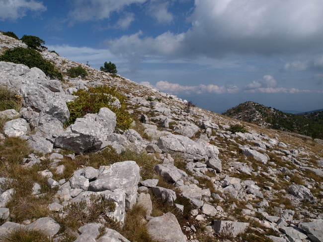 Svilaja, 18 rujna 2010