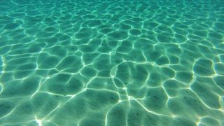 25.07.2013., Dugi otok, Sakarun – Uzduz i poprijeko Dugog otoka u zadarskom arhipelagu u ljetnim danima prepuno je turista, a najomiljenija plaza zasigurno je Sakarun, koja sa nalazi u uvali pokraj mjesta Veli Rat. Pjeskovita plaza sa tirkizno cistim mo