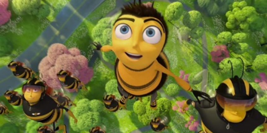 Bee movie Bee movie