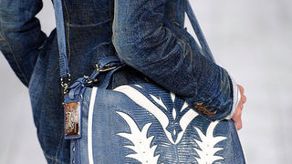 Torbice za proljeće 2010.