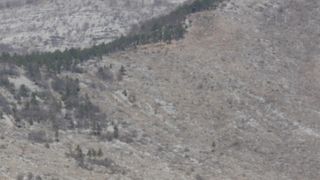 Veliko Rujno: Drago Krapić vlasnik je pedesetak konja koji obitavaju na velebitskim pašnjacima