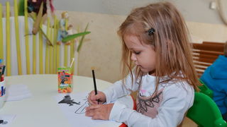 Image 381155 (auto) Image 381155 (auto)