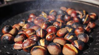 Kestenjari su započeli s ovogodisnjom sezonom prodaje pecenih kestena. Photo: Tomislav Miletic/PIXSELL