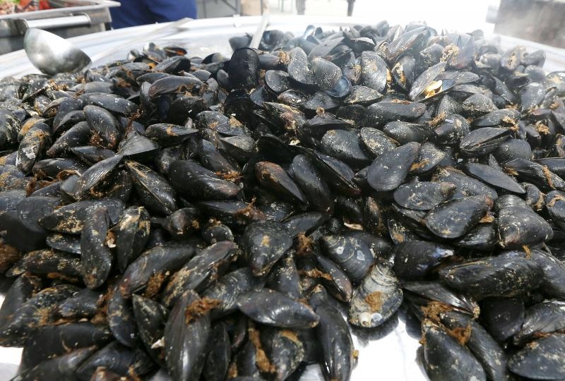 Betina: Održana 49. fešta od školjaka – Dan brganje. Photo: Duško Jaramaz/PIXSELL