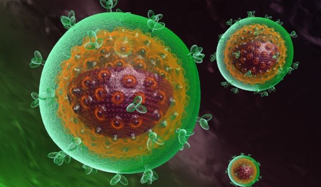 ‘Lovci na viruse’ spašavaju milijune ljudskih života (Metro-portal.hr)