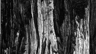 Braća Brkan: Slike sna i svjetlosti Braća Brkan: Slike sna i svjetlosti