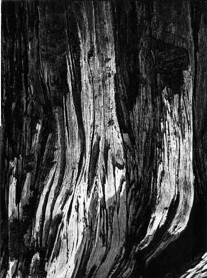 Braća Brkan: Slike sna i svjetlosti Braća Brkan: Slike sna i svjetlosti