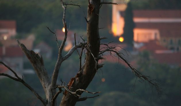 Hvar: vatrogasci gase požar koji je u popodnevnim satima zahvatio šumu između Vrbnja i Svirča