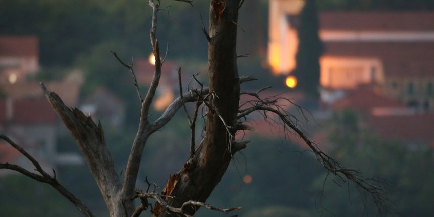 Hvar: vatrogasci gase požar koji je u popodnevnim satima zahvatio šumu između Vrbnja i Svirča Hvar: vatrogasci gase požar koji je u popodnevnim satima zahvatio šumu između Vrbnja i Svirča