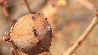 Izlet u Libinje 6. travnja 2011, Foto: Leo Banic