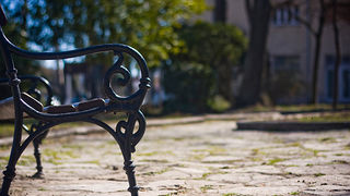 Đir zadarskim parkovima,27. veljače 2012. (foto:Saša Čuka)