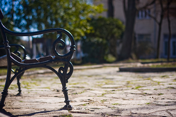 Đir zadarskim parkovima,27. veljače 2012. (foto:Saša Čuka)