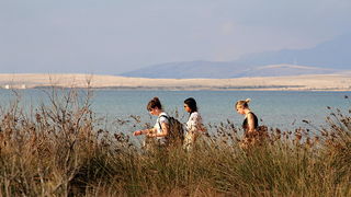 Nedjeljni đir ninskom plažom Ždrijac Nedjeljni đir ninskom plažom Ždrijac
