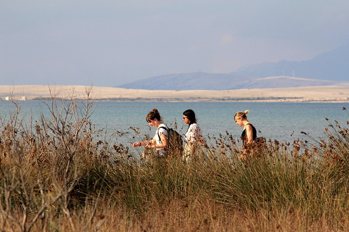Nedjeljni đir ninskom plažom Ždrijac Nedjeljni đir ninskom plažom Ždrijac
