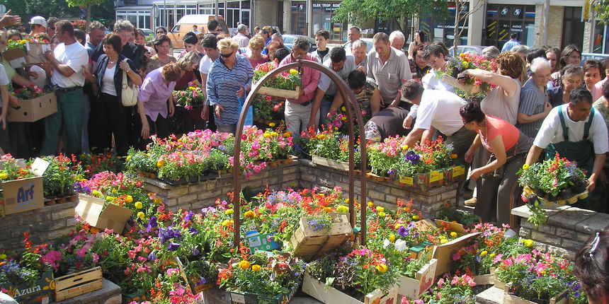 OLYMPUS DIGITAL CAMERA OLYMPUS DIGITAL CAMERA