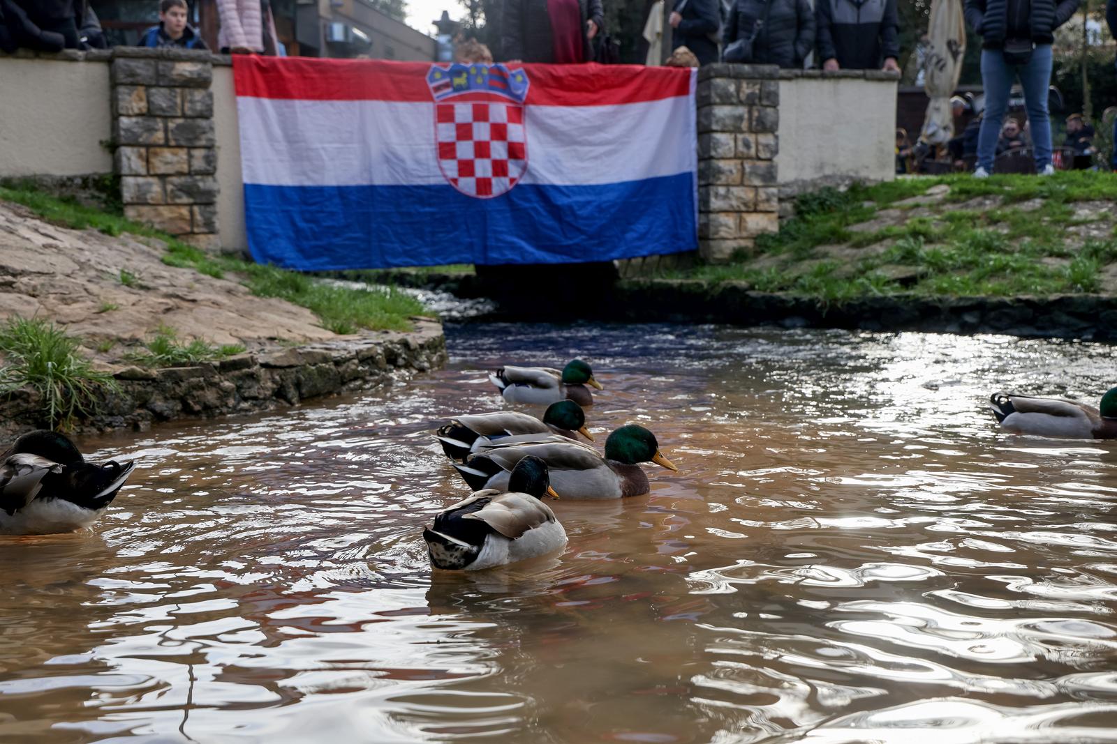 Prosvjed “Spasimo Vruljicu” Prosvjed “Spasimo Vruljicu”