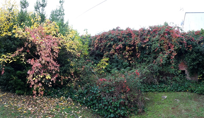 Boje zadarske jeseni. Foto: Mladen Malik