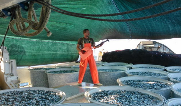 Posada plivarice “Tuljan dva” u jednu noć ulovila rekordnih 42 tone srdela, foto: Posada