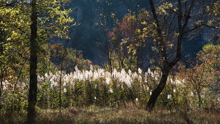 Đir do kraških ljepotica Krupe i Zrmanje, Foto: Vinko Pešić Đir do kraških ljepotica Krupe i Zrmanje, Foto: Vinko Pešić