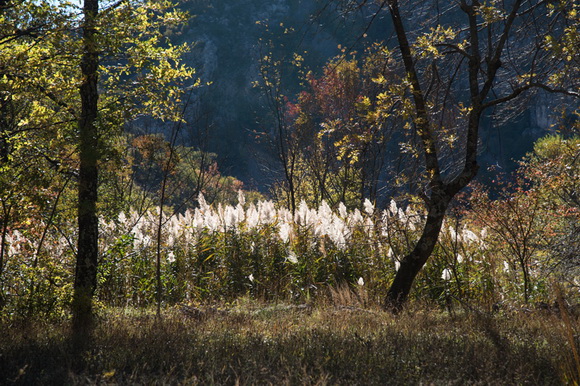 Đir do kraških ljepotica Krupe i Zrmanje, Foto: Vinko Pešić Đir do kraških ljepotica Krupe i Zrmanje, Foto: Vinko Pešić