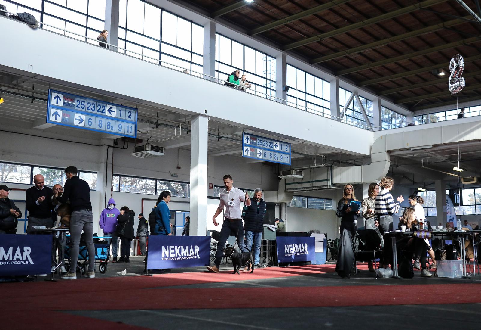 Izložba pasa na Zagrebačkom velesajmu Izložba pasa na Zagrebačkom velesajmu