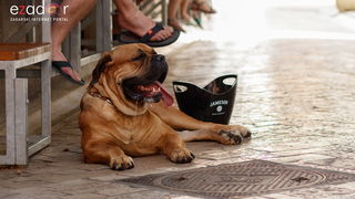 Đir po gradu, subotnja špica 6. srpnja 2019. Đir po gradu, subotnja špica 6. srpnja 2019.