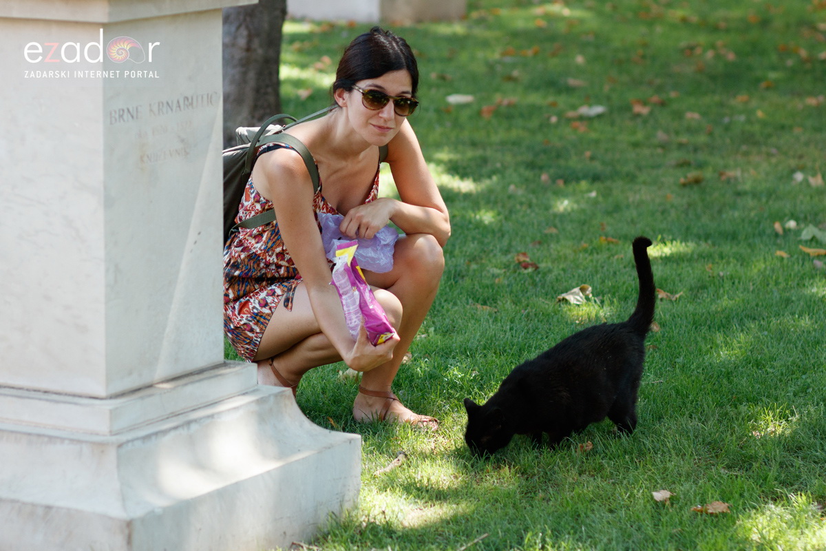 Đir po gradu, subotnja špica 6. srpnja 2019. Đir po gradu, subotnja špica 6. srpnja 2019.