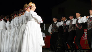 Bibinje: Nastup ansambla Lado, foto: Leo Banić