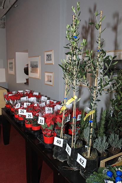 Božićni bal Lions Cluba Zadar u Arsenalu, Foto: Leo Banić