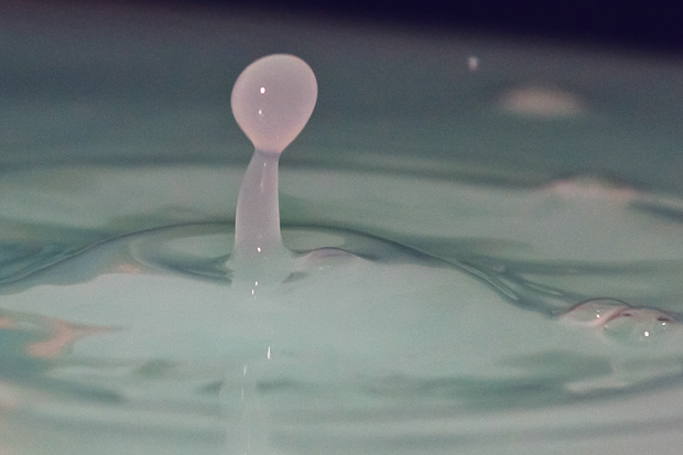 Čudesne kapi, foto: Leo Banić