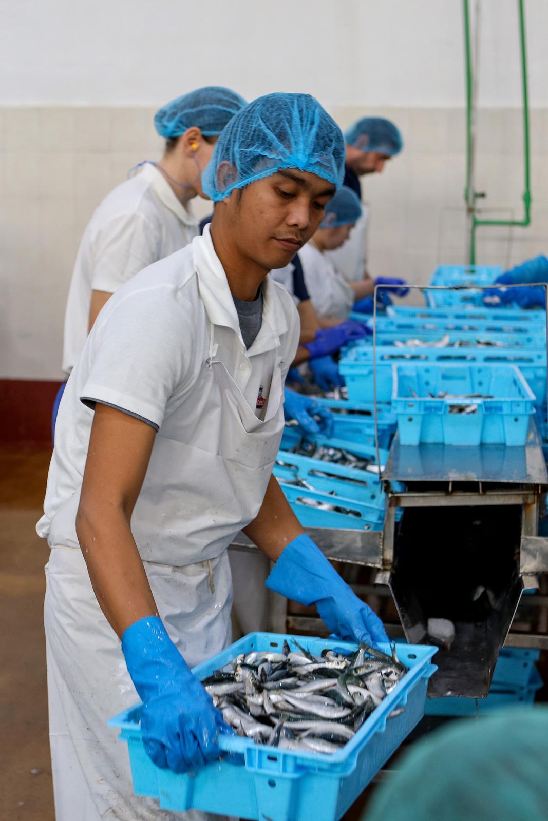 Predsjednik Milanović posjetio je tvrtku Mardešić u Salima