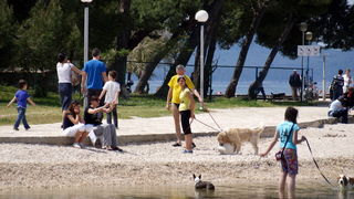 Zadar: Medjunarodna izlozba pasa CACIB 1. svibnja 2010.