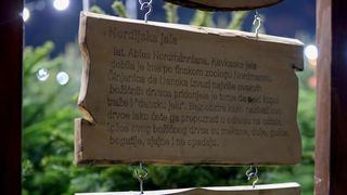 Prodaja božićnih jelki u Zadru Prodaja božićnih jelki u Zadru