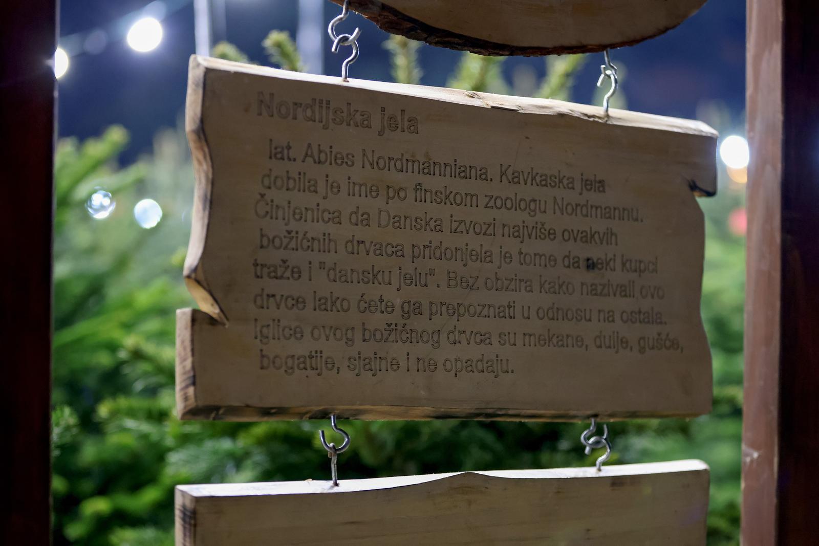Prodaja božićnih jelki u Zadru Prodaja božićnih jelki u Zadru