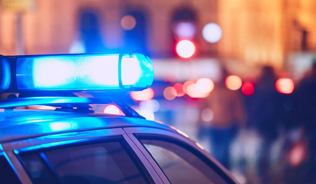 policija ilustracija svijet