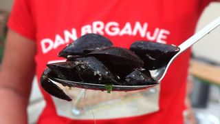 Betina: Održana 49. fešta od školjaka – Dan brganje. Photo: Duško Jaramaz/PIXSELL