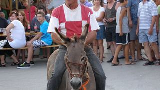 Utrka magaraca u Posedarju, Foto: Josip Prskalo Utrka magaraca u Posedarju, Foto: Josip Prskalo