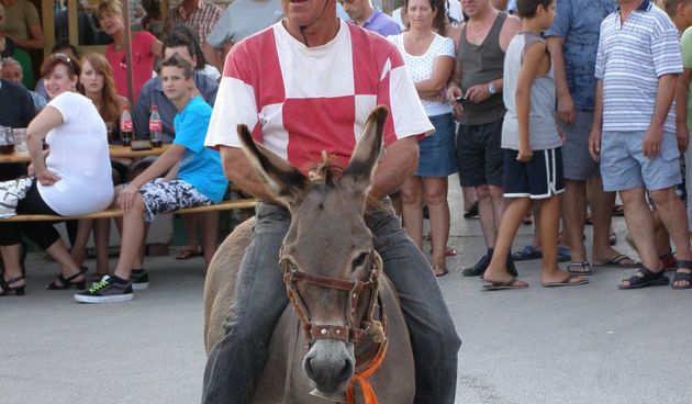 Utrka magaraca u Posedarju, Foto: Josip Prskalo