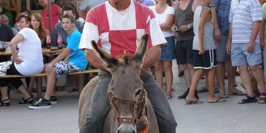 Utrka magaraca u Posedarju, Foto: Josip Prskalo Utrka magaraca u Posedarju, Foto: Josip Prskalo