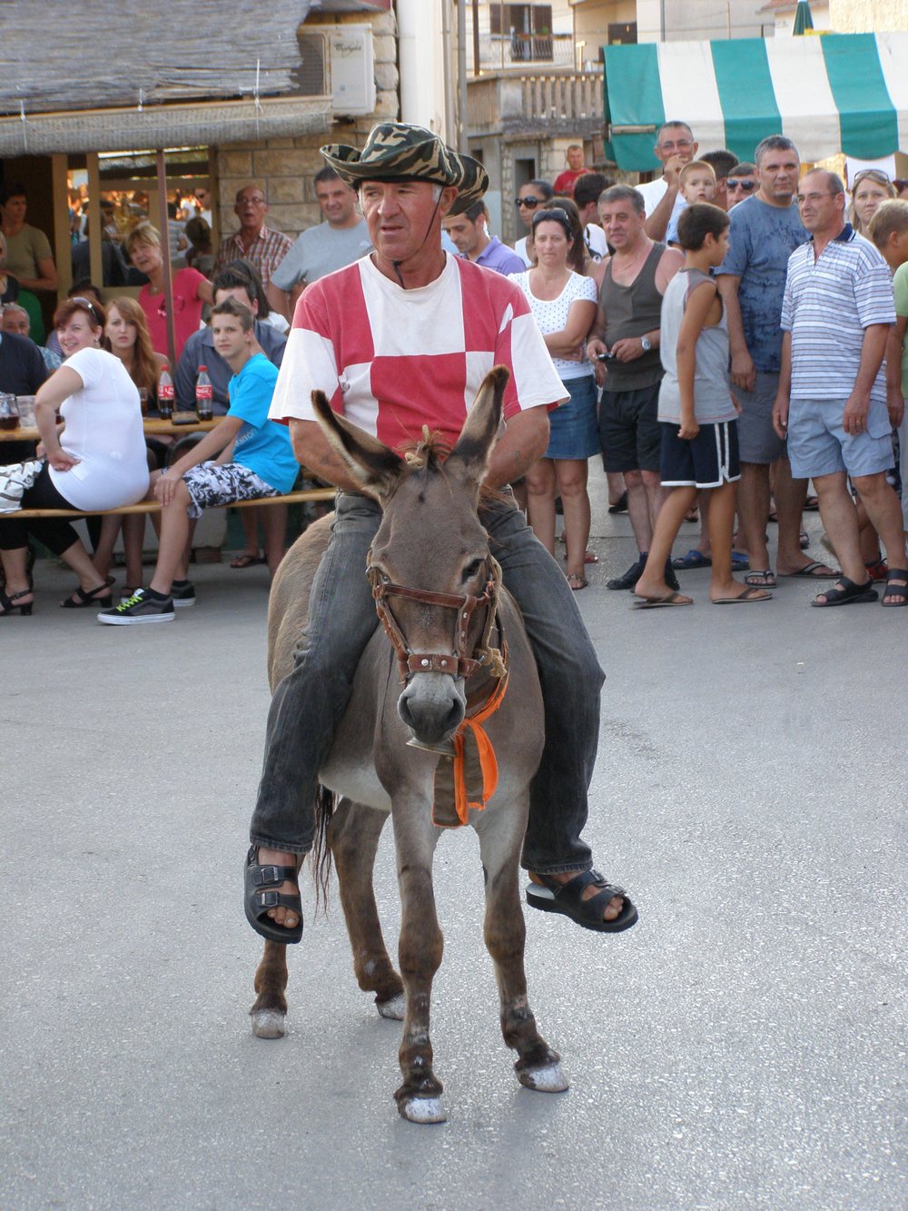 Utrka magaraca u Posedarju, Foto: Josip Prskalo Utrka magaraca u Posedarju, Foto: Josip Prskalo