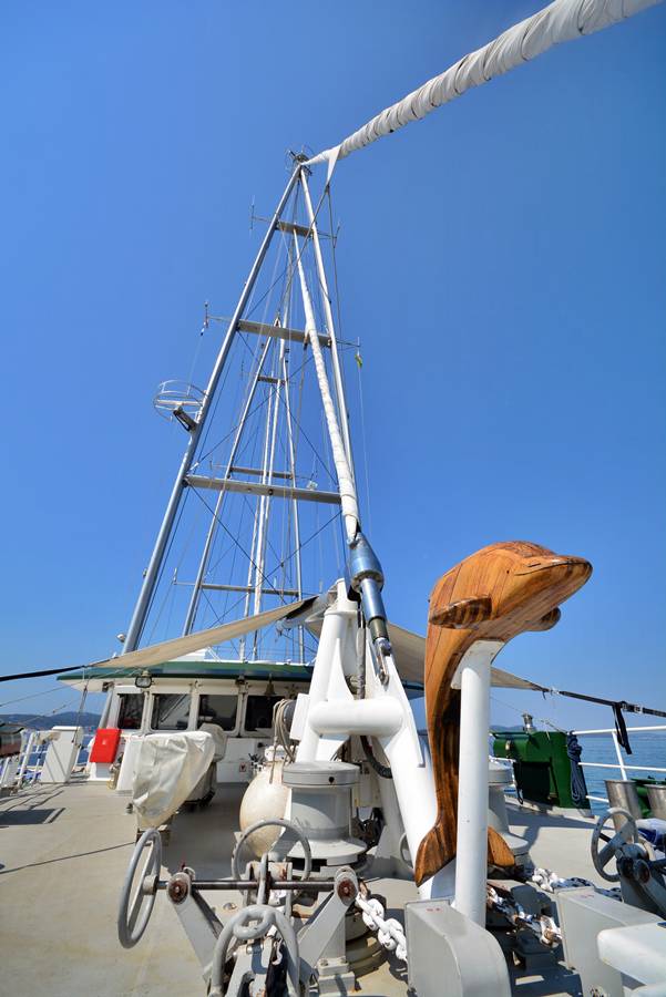 Rainbow warrior u Zadru