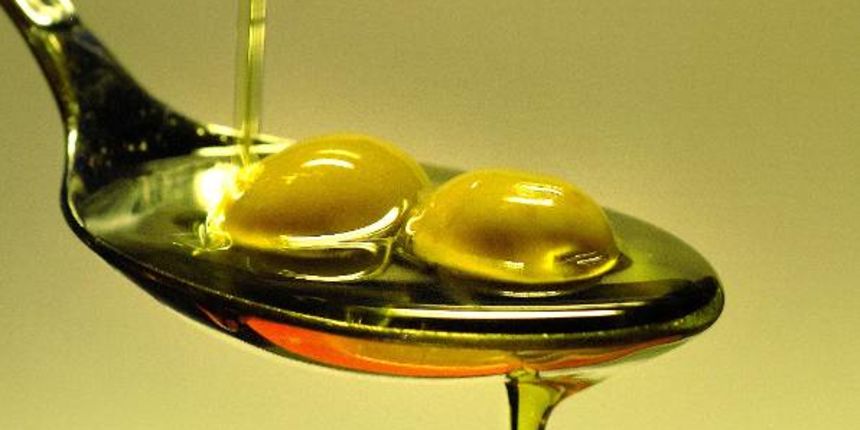 Masline, maslinovo ulje, foto: www.agroklub.com